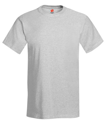 Hanes Adult Tee Plus