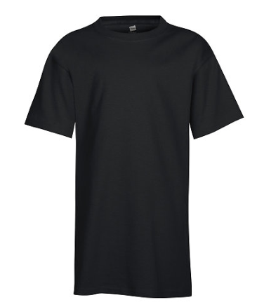 Hanes Youth Tee