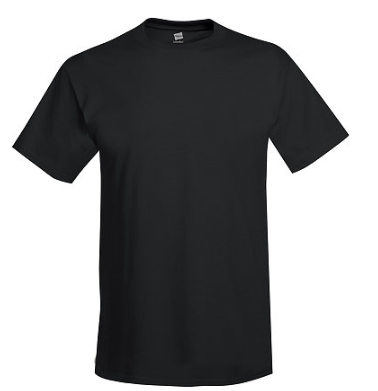 Hanes Adult Tee