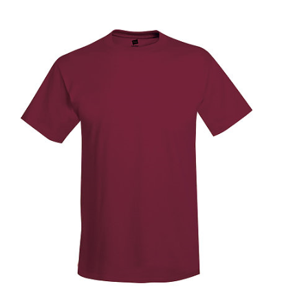 Hanes Adult Tee Plus