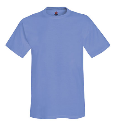 Hanes Adult Tee