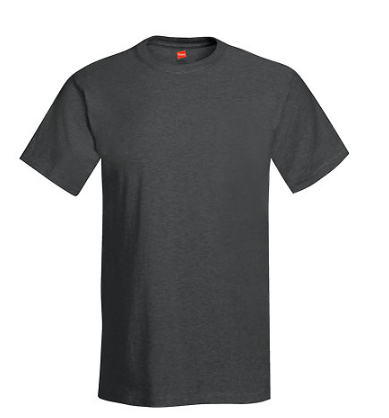 Hanes Adult Tee