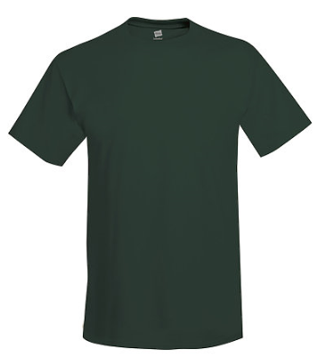 Hanes Adult Tee Plus