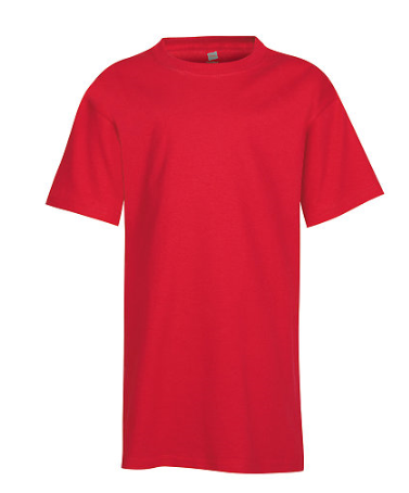 Hanes Youth Tee