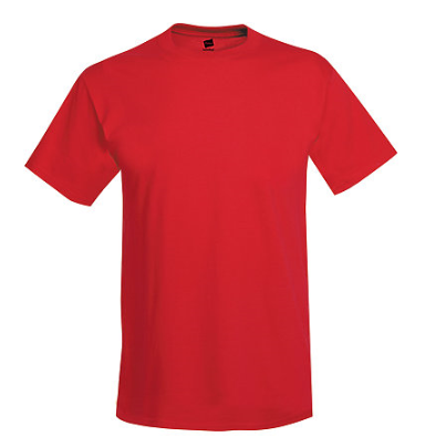 Hanes Adult Tee