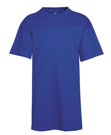 Hanes Youth Tee