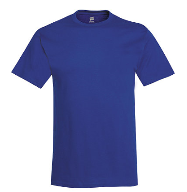 Hanes Adult Tee Plus