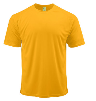 Paragon Microfiber Short Sleeve Shirt