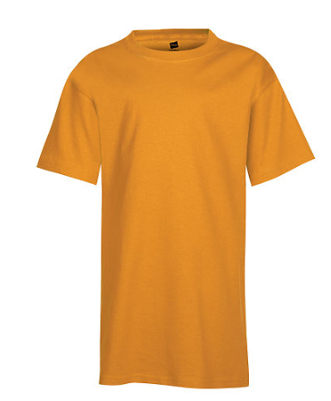 Hanes Youth Tee