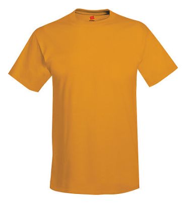 Hanes Adult Tee