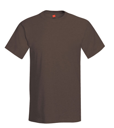 Hanes Adult Tee Plus