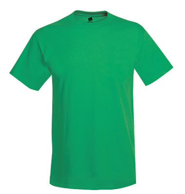 Hanes Adult Tee Plus