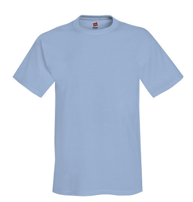 Hanes Adult Tee
