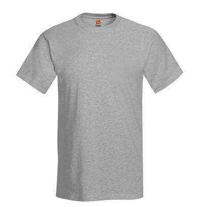 Hanes Adult Tee Plus
