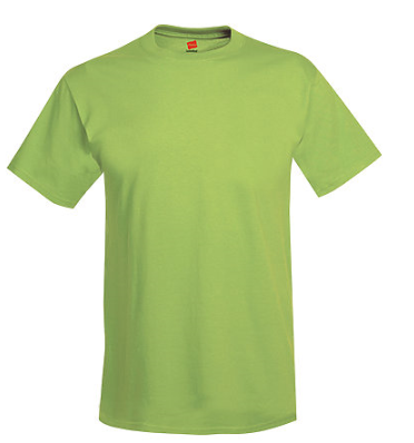 Hanes Adult Tee