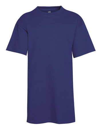 Hanes Youth Tee