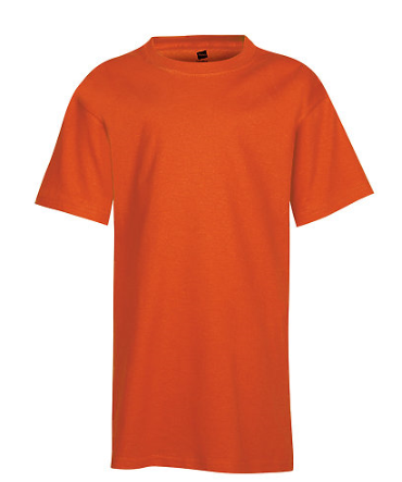 Hanes Youth Tee