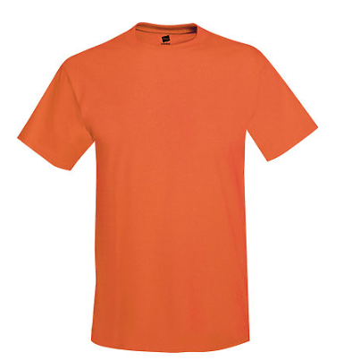 Hanes Adult Tee Plus