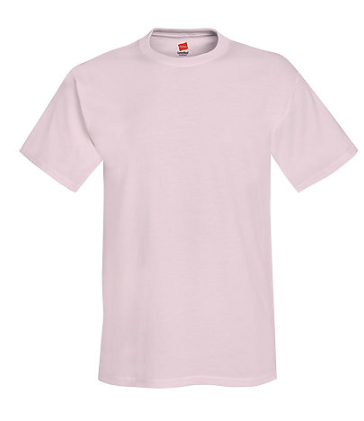 Hanes Adult Tee Plus