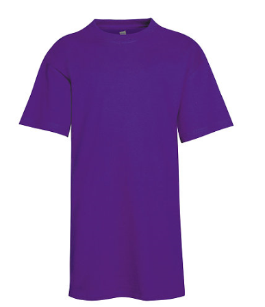 Hanes Youth Tee
