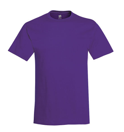 Hanes Adult Tee
