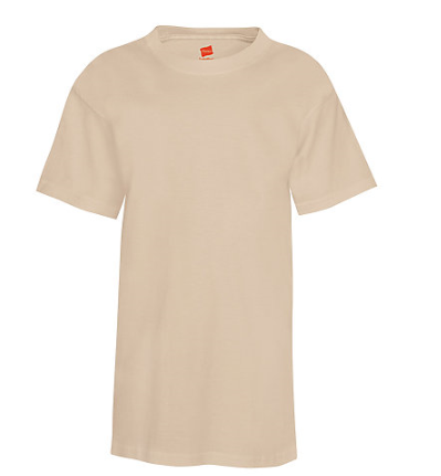 Hanes Youth Tee