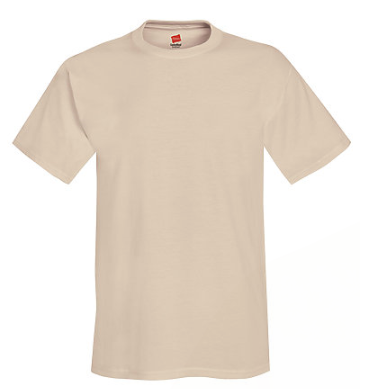 Hanes Adult Tee Plus