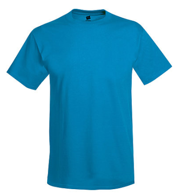 Hanes Adult Tee