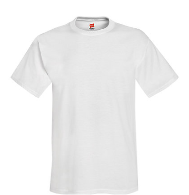 Hanes Adult Tee Plus
