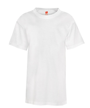 Hanes Youth Tee