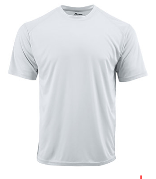 Paragon Microfiber Short Sleeve Shirt