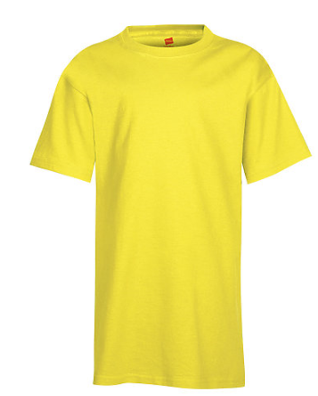 Hanes Youth Tee