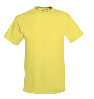 Hanes Adult Tee