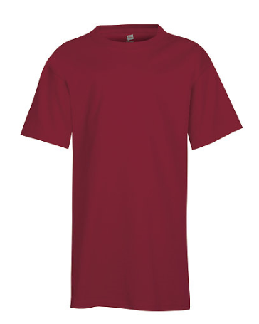 Hanes Youth Tee